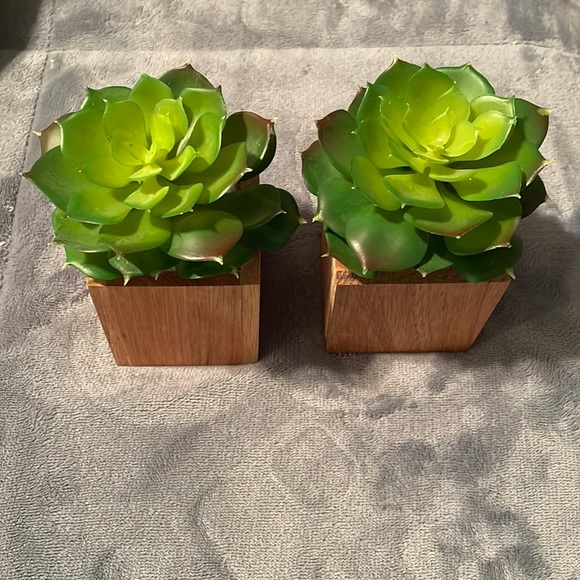 Other - 2 faux succulent planters in wood NWOT